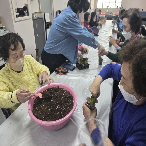 2025년 4월 상록수노인종합복지센터 특화프로그램 상추모종 심기